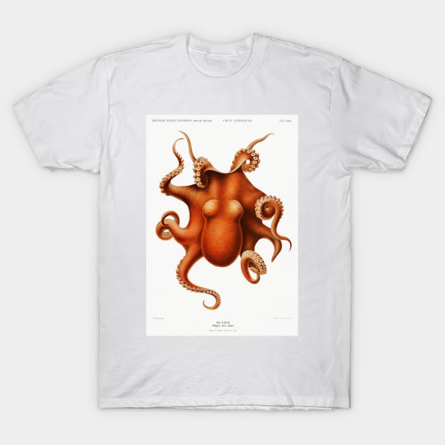 Vintage Octopus T-Shirt by MoviesAndOthers